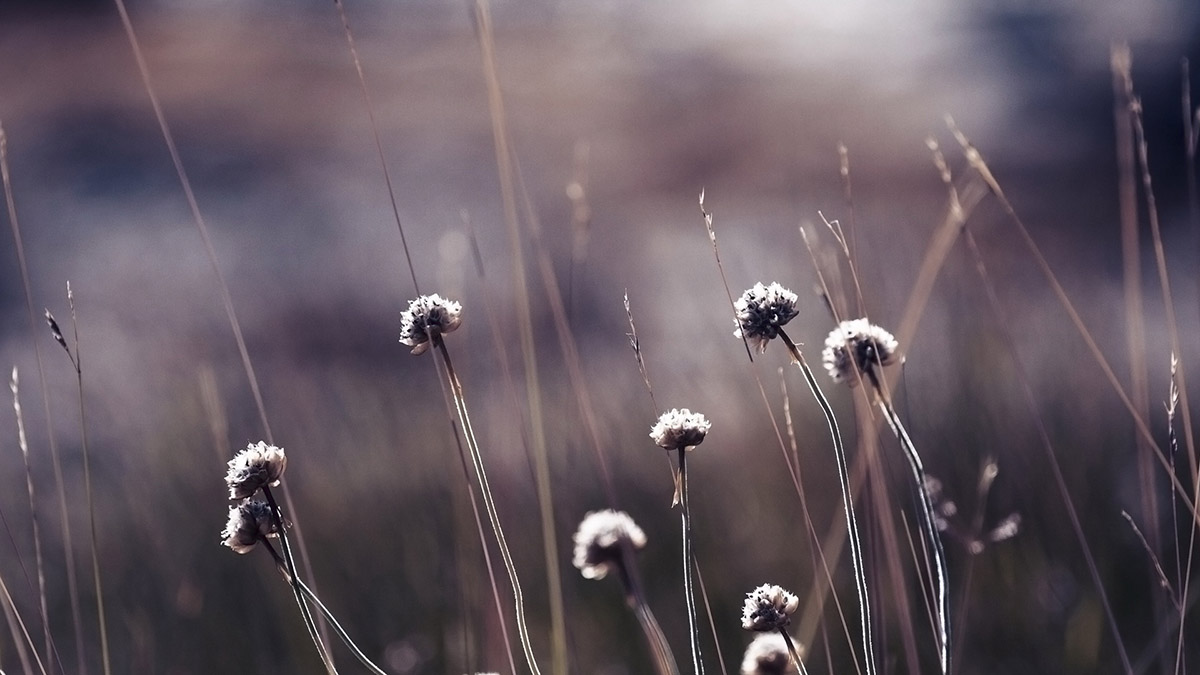 [路奇]什么都没有就不用看了-连载封面