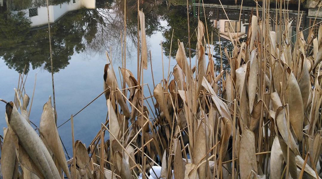 [路奇]轻想连载想法和规划-连载封面