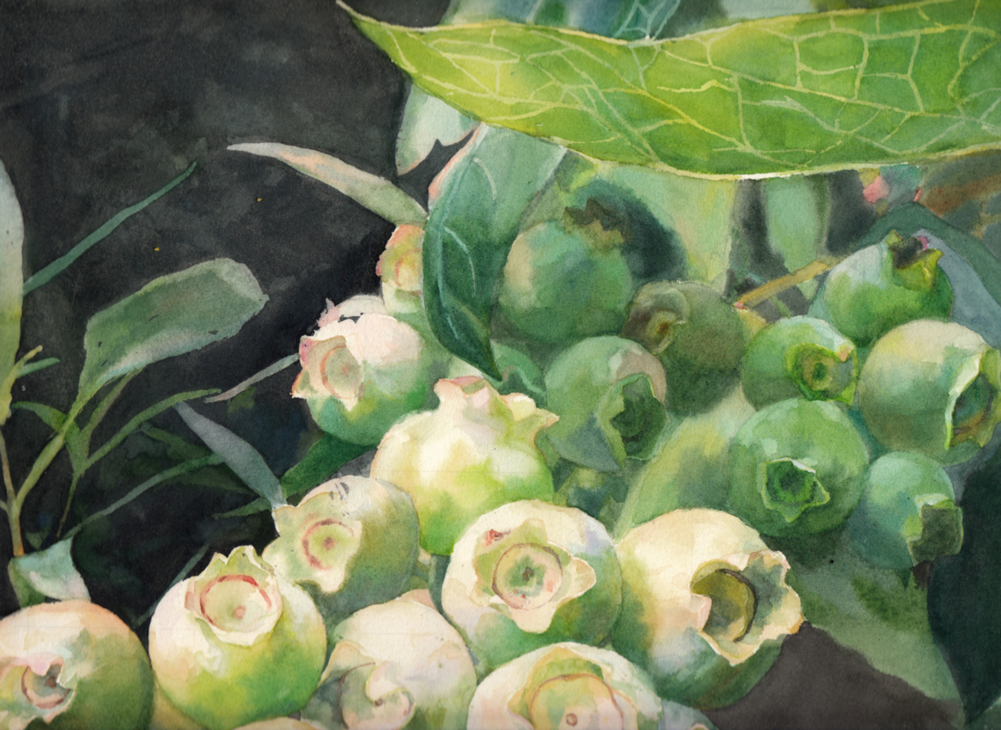 [NARA小安]爸爸的花房画在我的纸上-连载封面