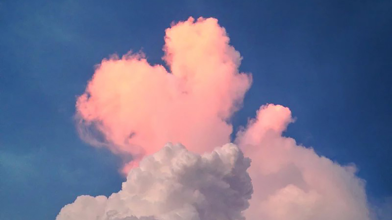 [会唱歌的热水壶]寻找最美的天空-连载封面