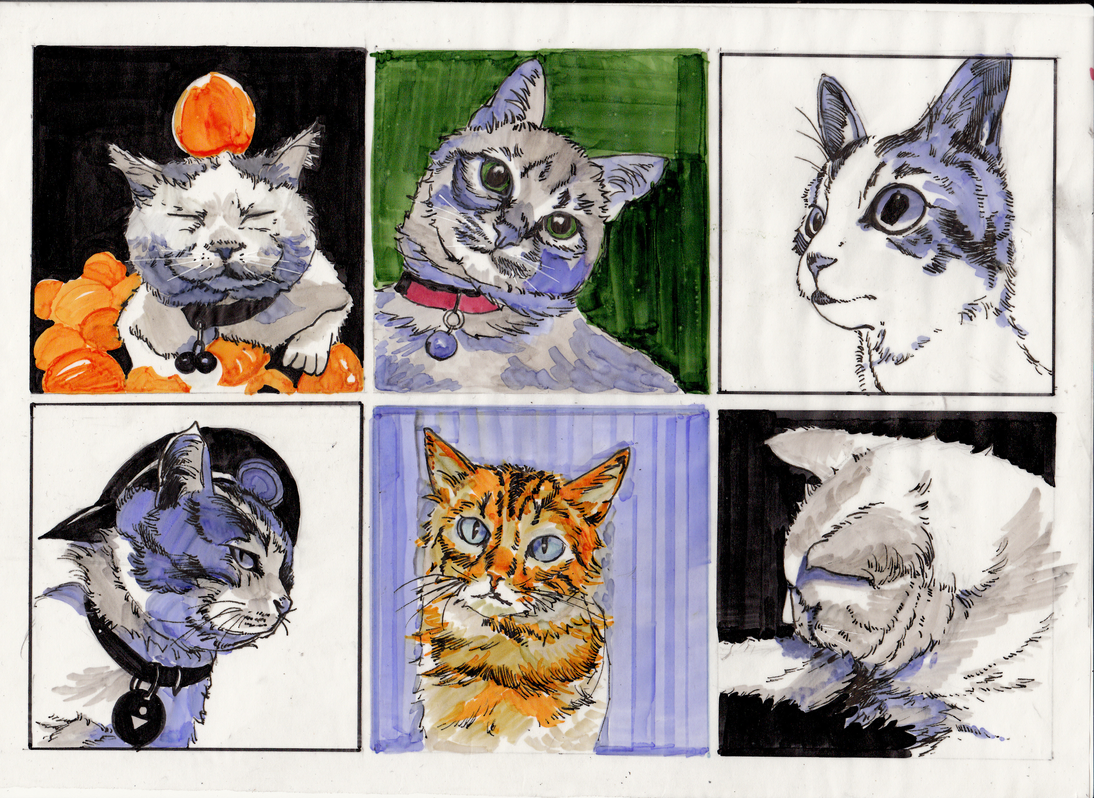 [NARA小安]日常生态-连载封面