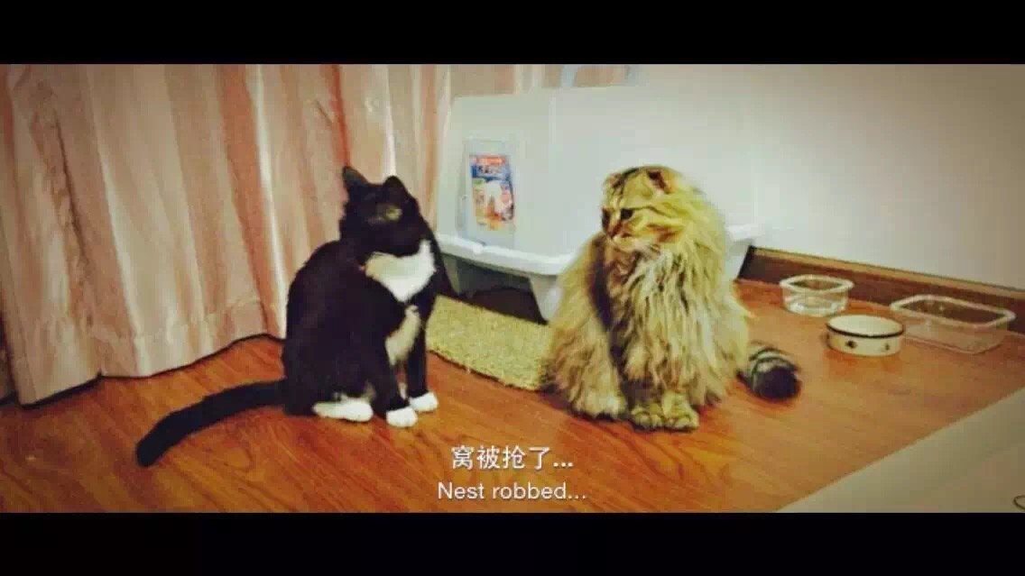 [Eisa嘟嘟]我的孩子-连载封面