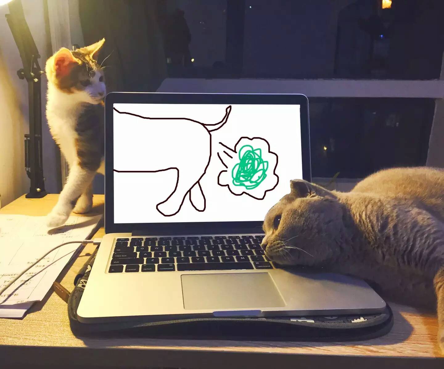 [猴子勤劳的逗比]寄养的老爷-连载封面