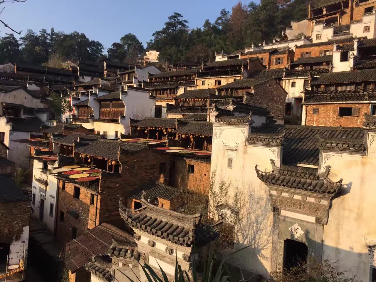 [王懒惰-s]愿望-连载封面