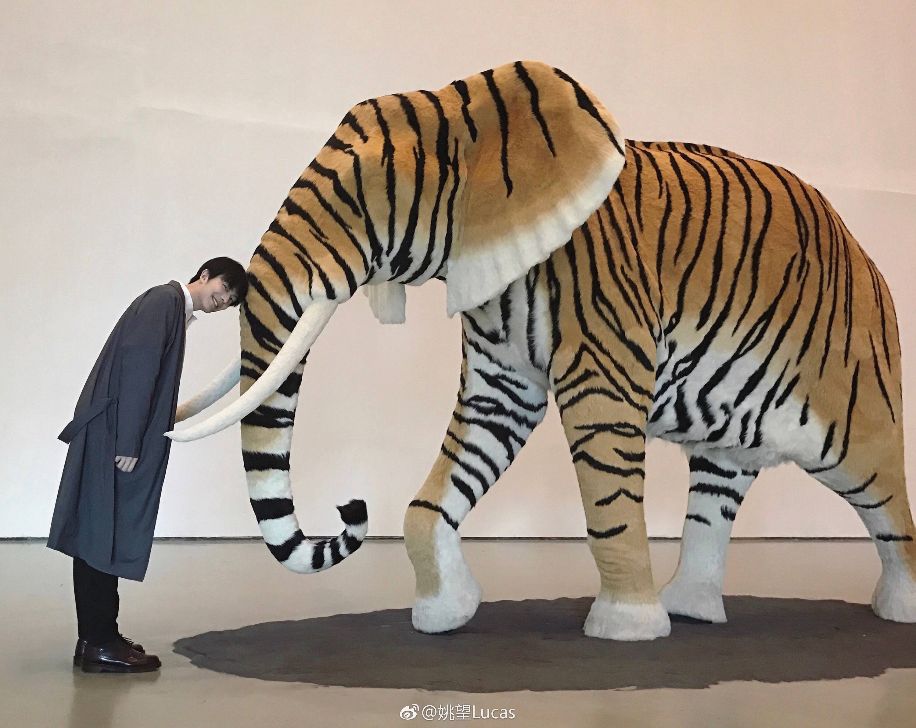 [墨山]姚望x杨业明-连载封面