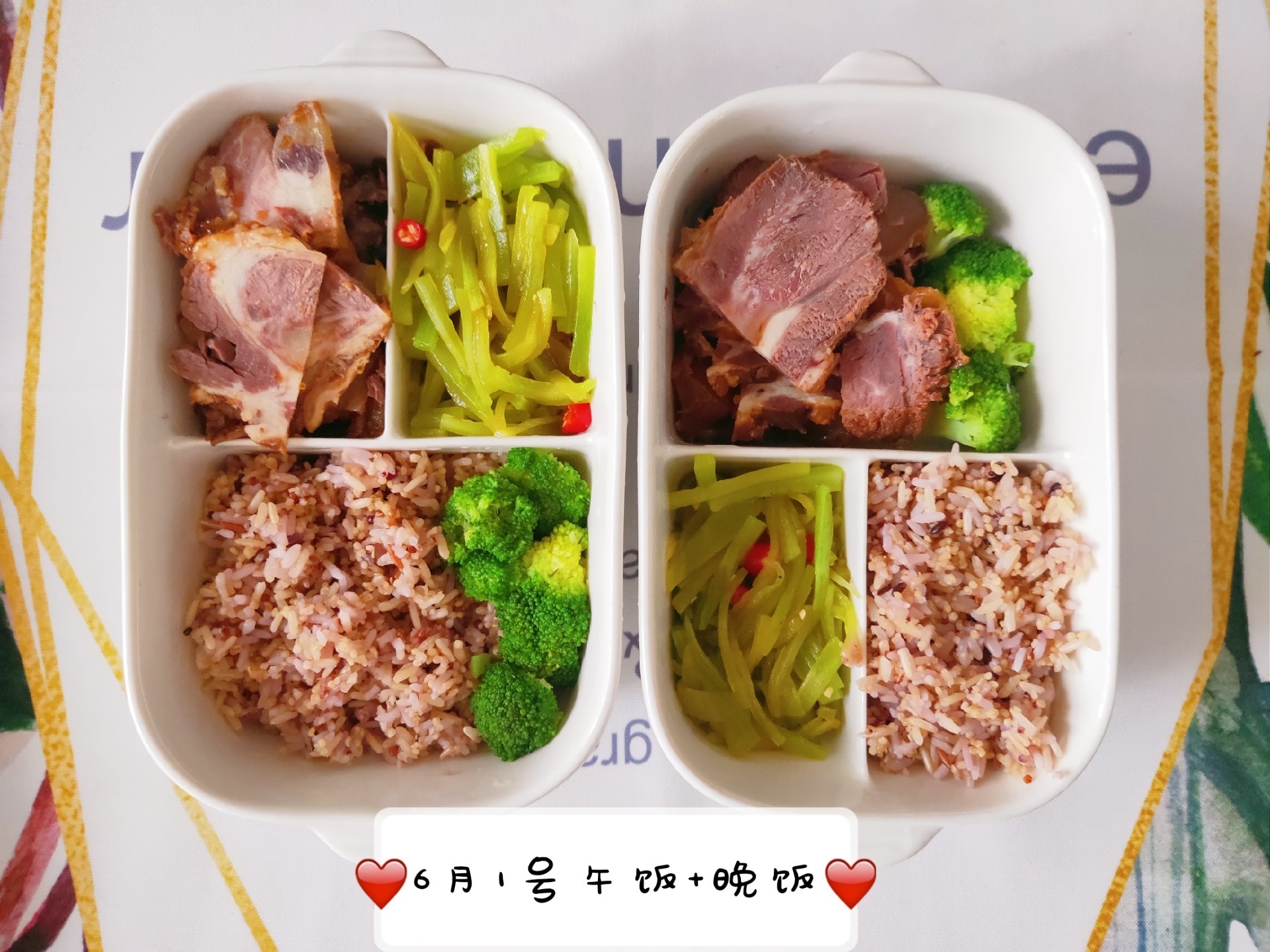 [南瓜籽]我的午餐便当盒-连载封面