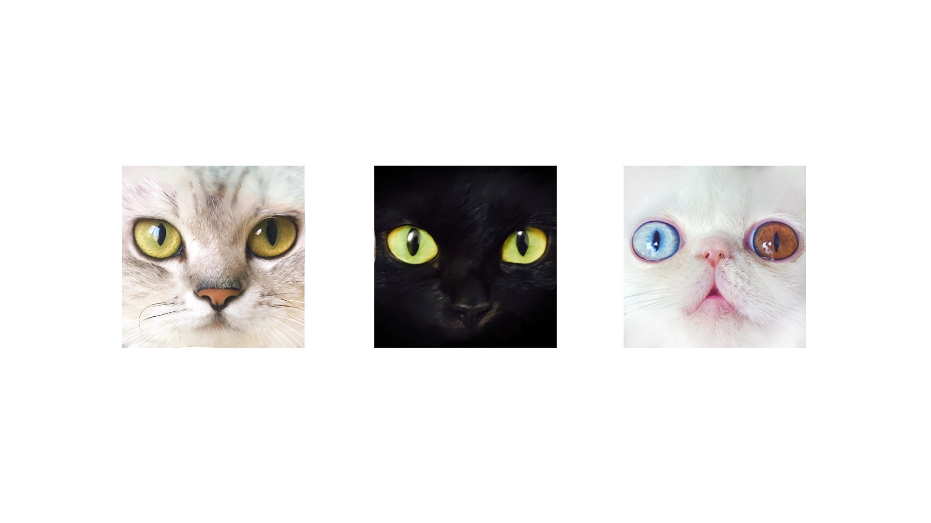 [废物Di]贝尔君的傻日常-连载封面