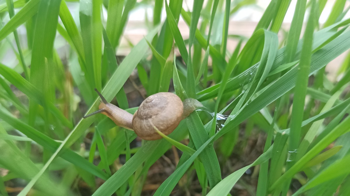 [云衫]胡言乱语-连载封面