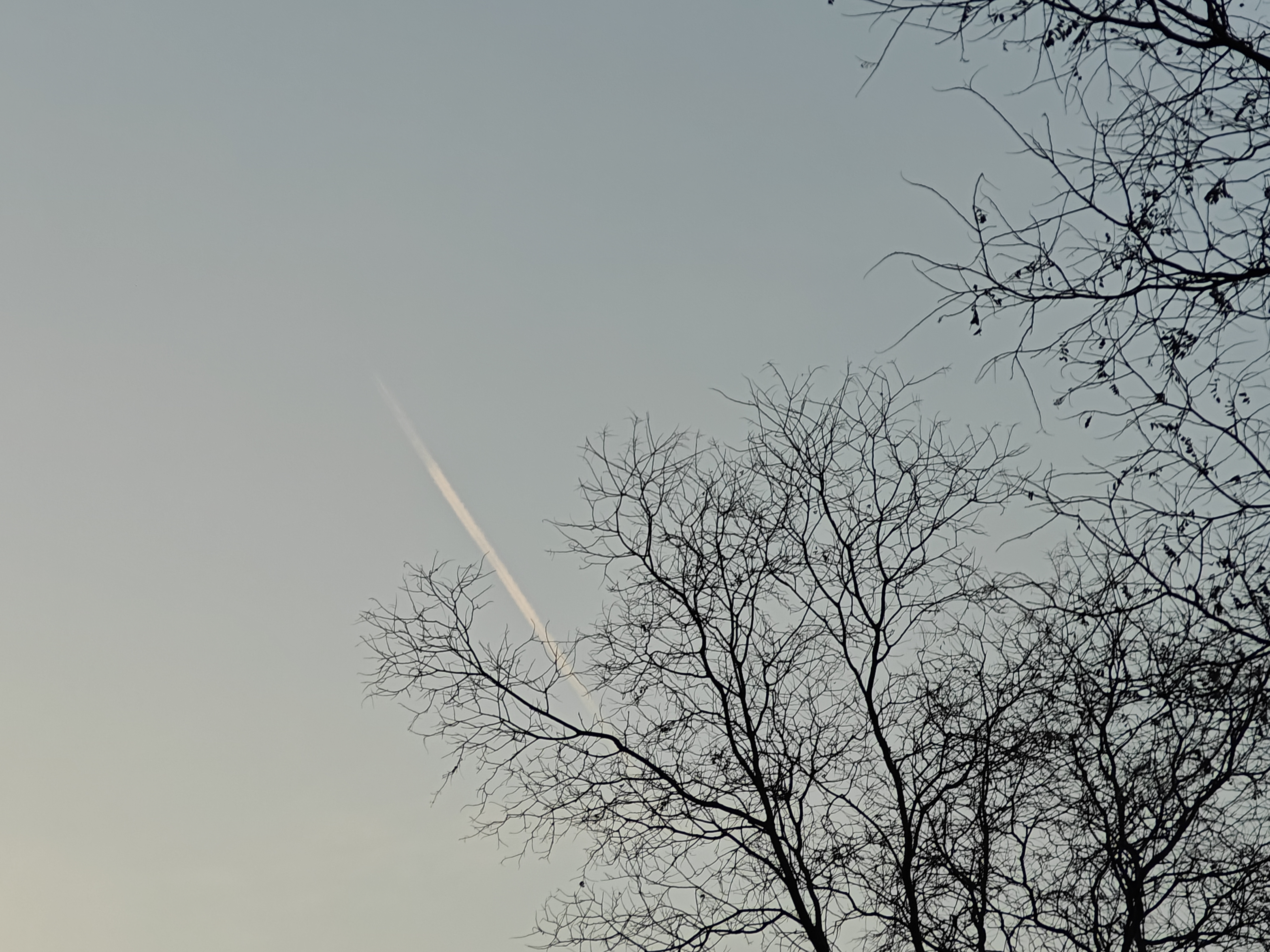 [逸白]2026-连载封面