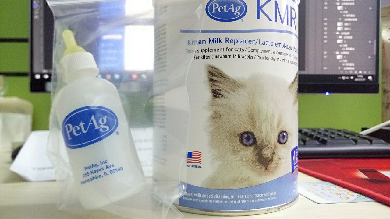 [怪歪]MILKU成长记-连载封面