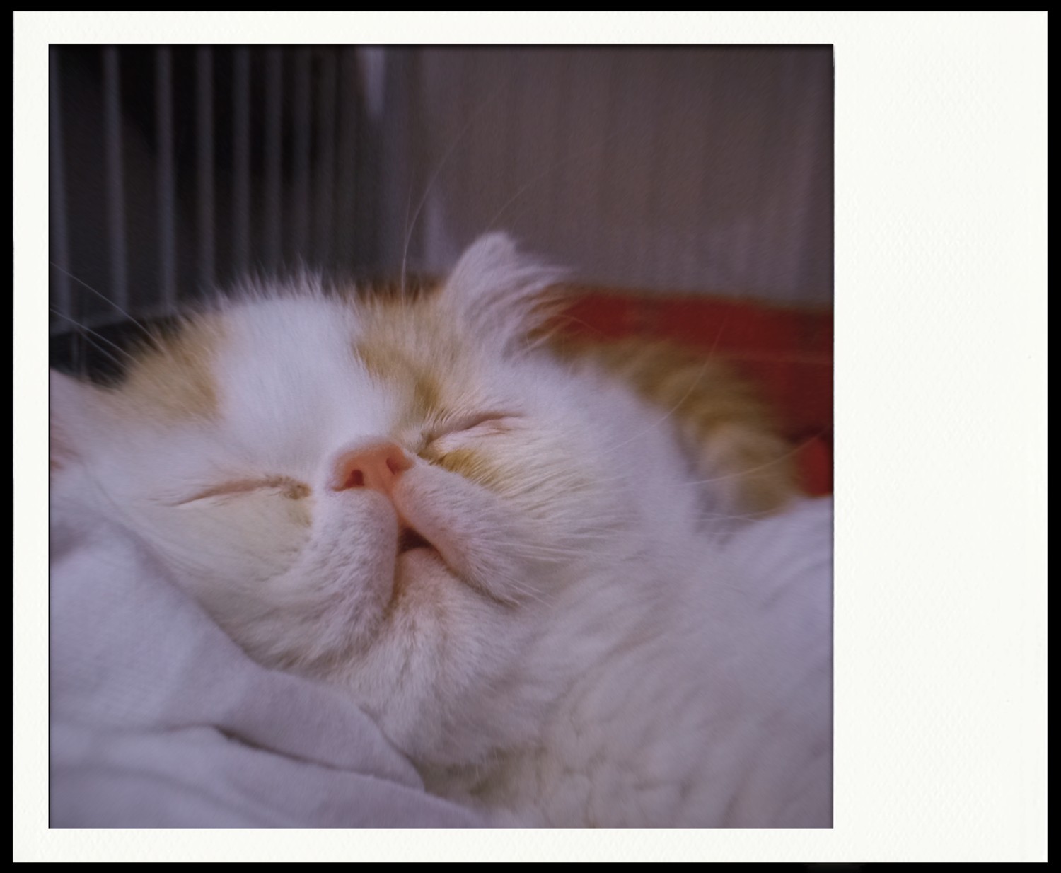 [疯三]小七-连载封面