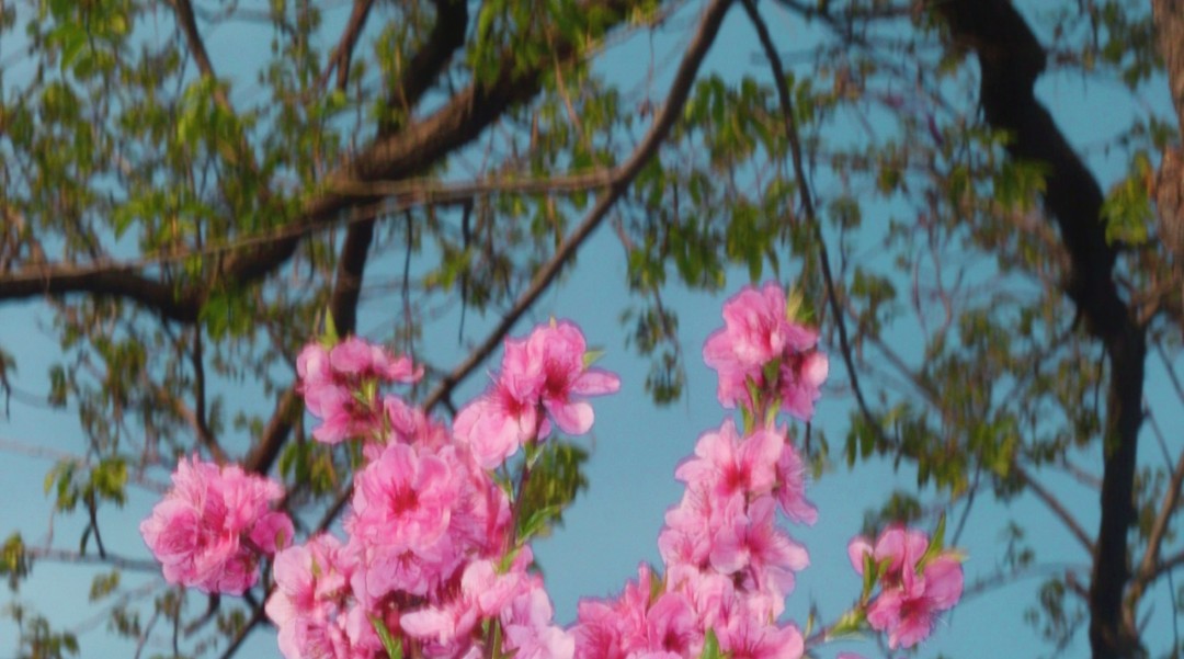 [澤島]生命本就是一团乱麻-连载封面