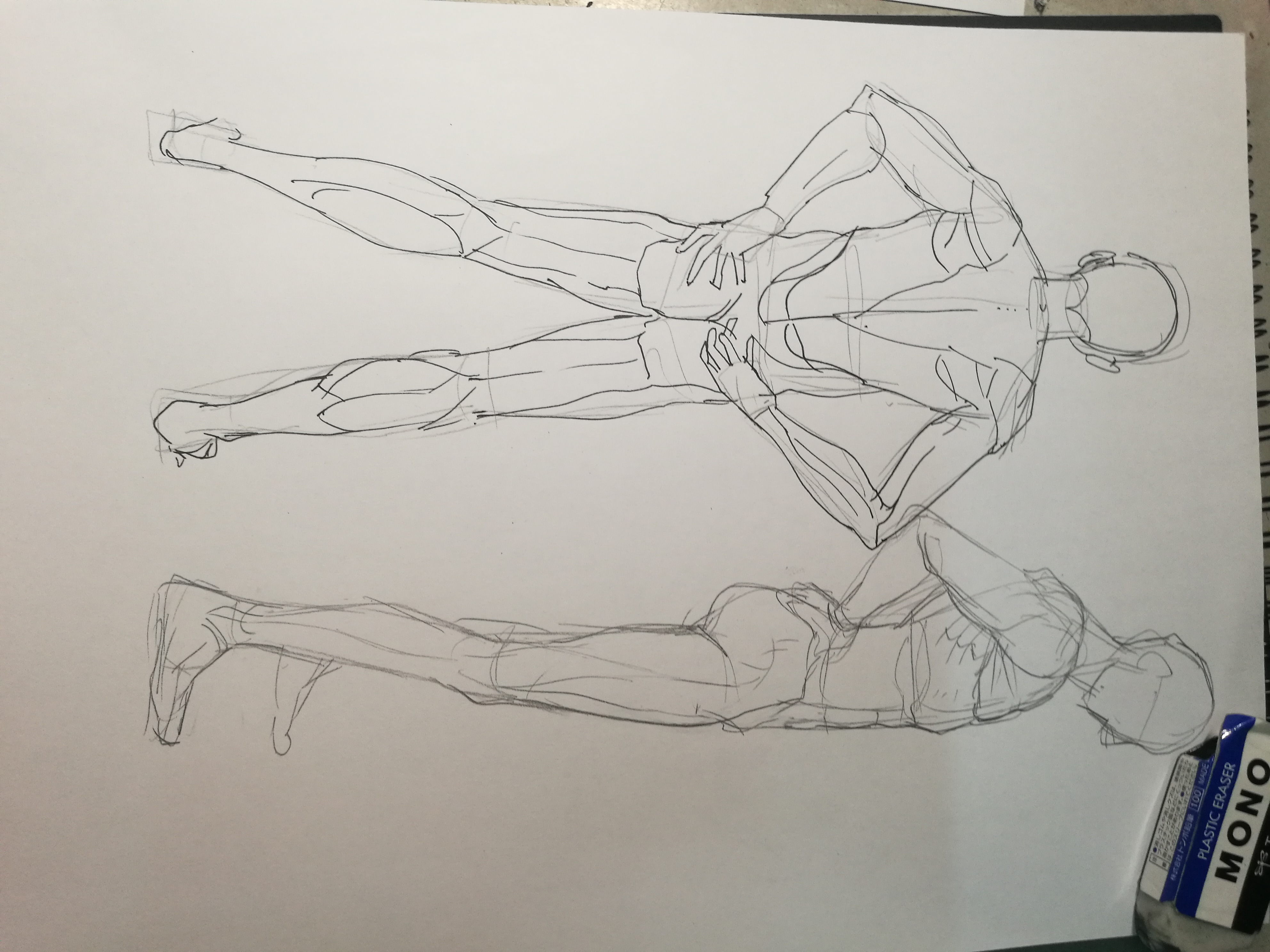 [不断在画画的小透明]一日一画-连载封面