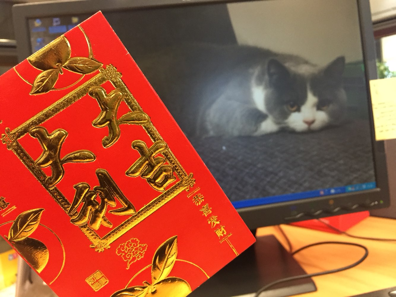 [CKCheung]十日談內褲的春節日記-连载封面