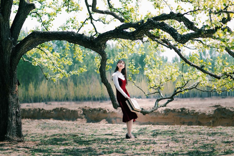 [童]你的照片我来画-连载封面