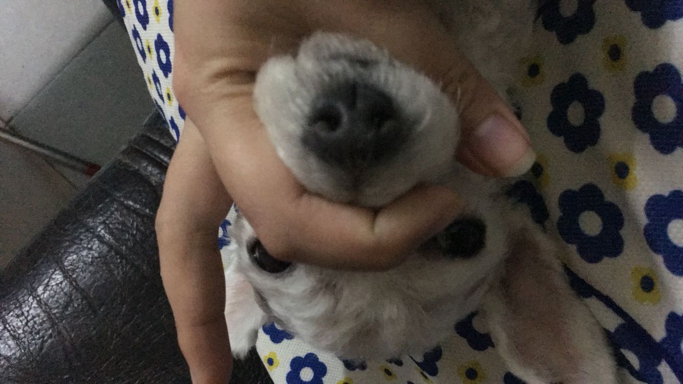 [幻清梦]守护只有我的那个你的世界。-连载封面