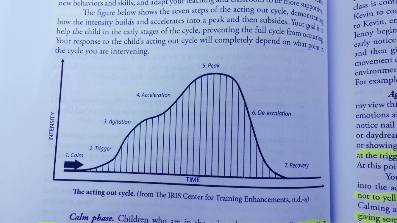 [傲雪幽狼]我在美国学教育-连载封面