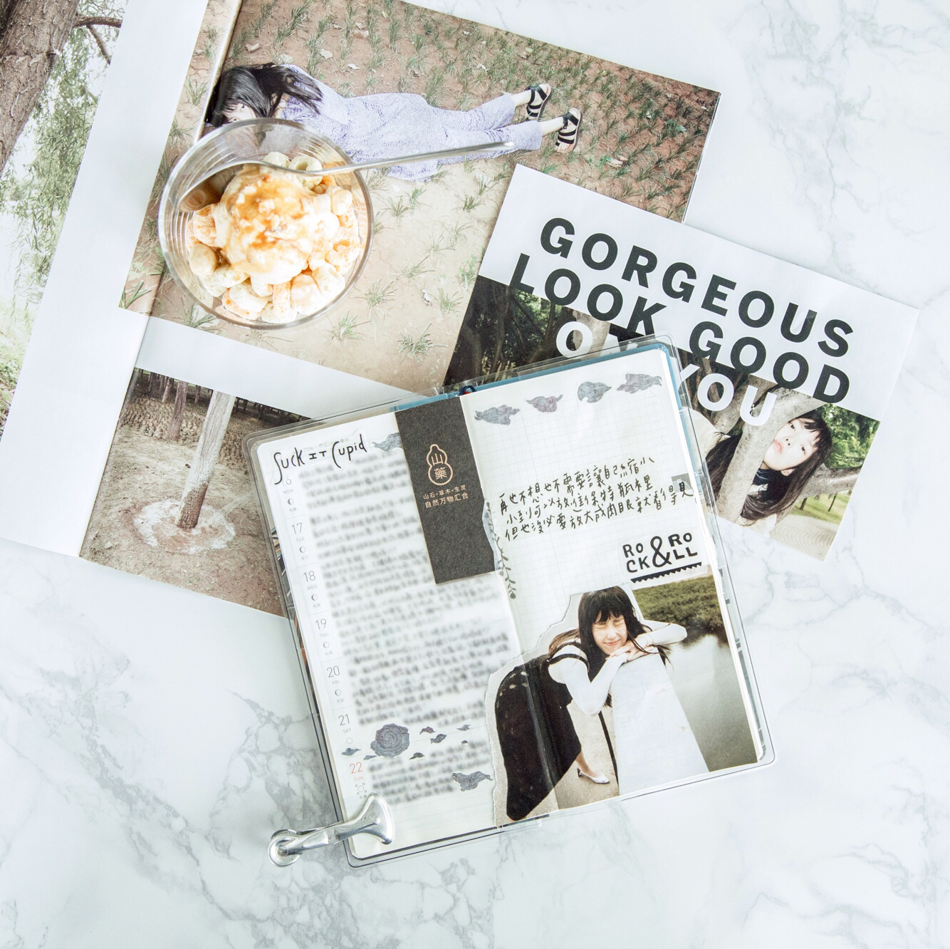 [pink-capybara]一只水豚的手帐-连载封面