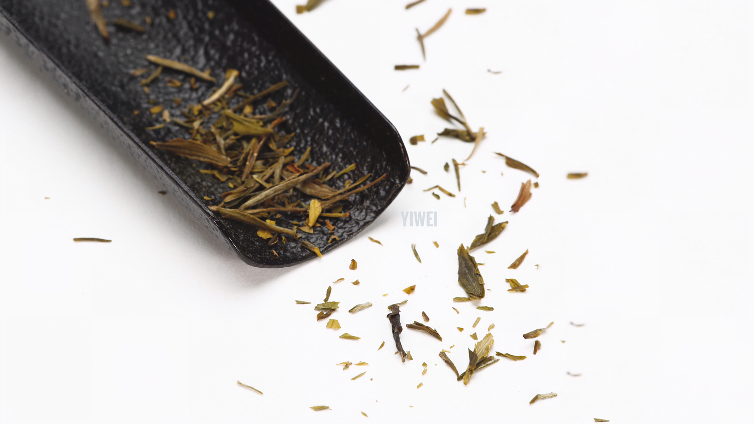 [衣伟找不到喜欢的头像]拍过的那些照片-连载封面