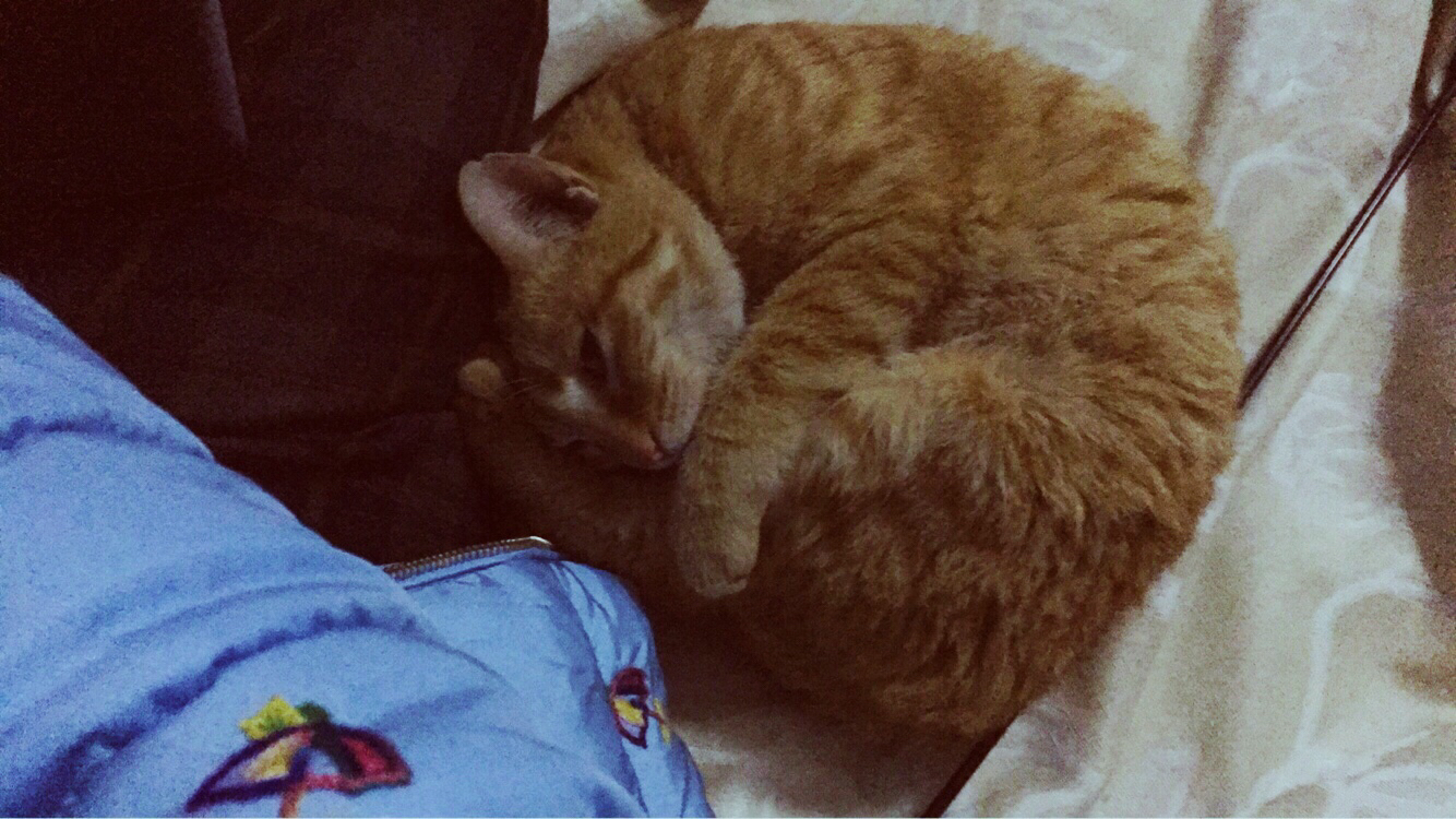 [王懒惰-s]我的死亡方式-连载封面