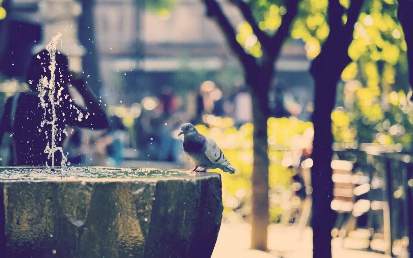 [陆道之]数不尽的春来冬去-连载封面