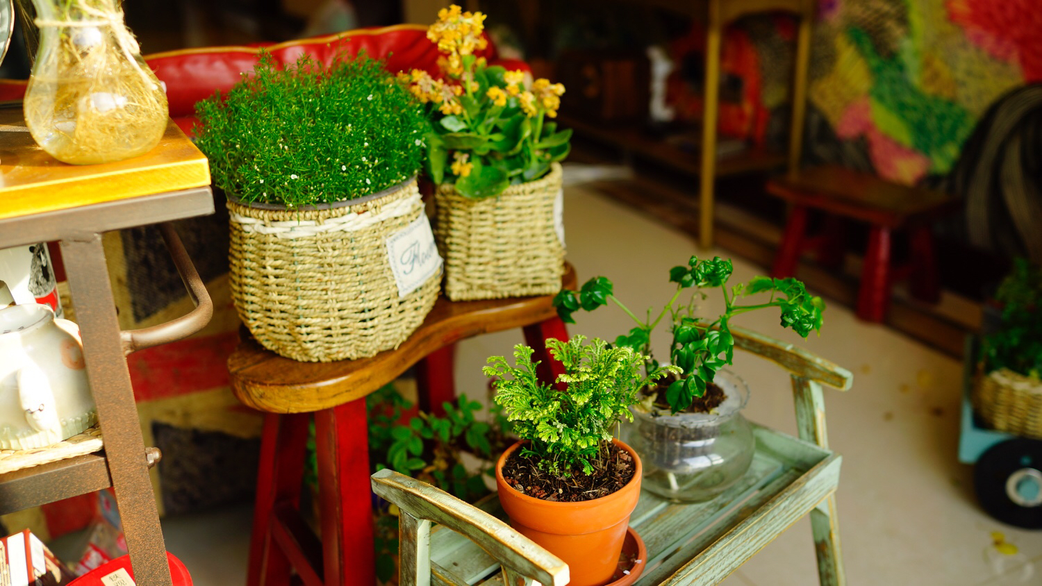 [安蕊Ann]肉铺-连载封面