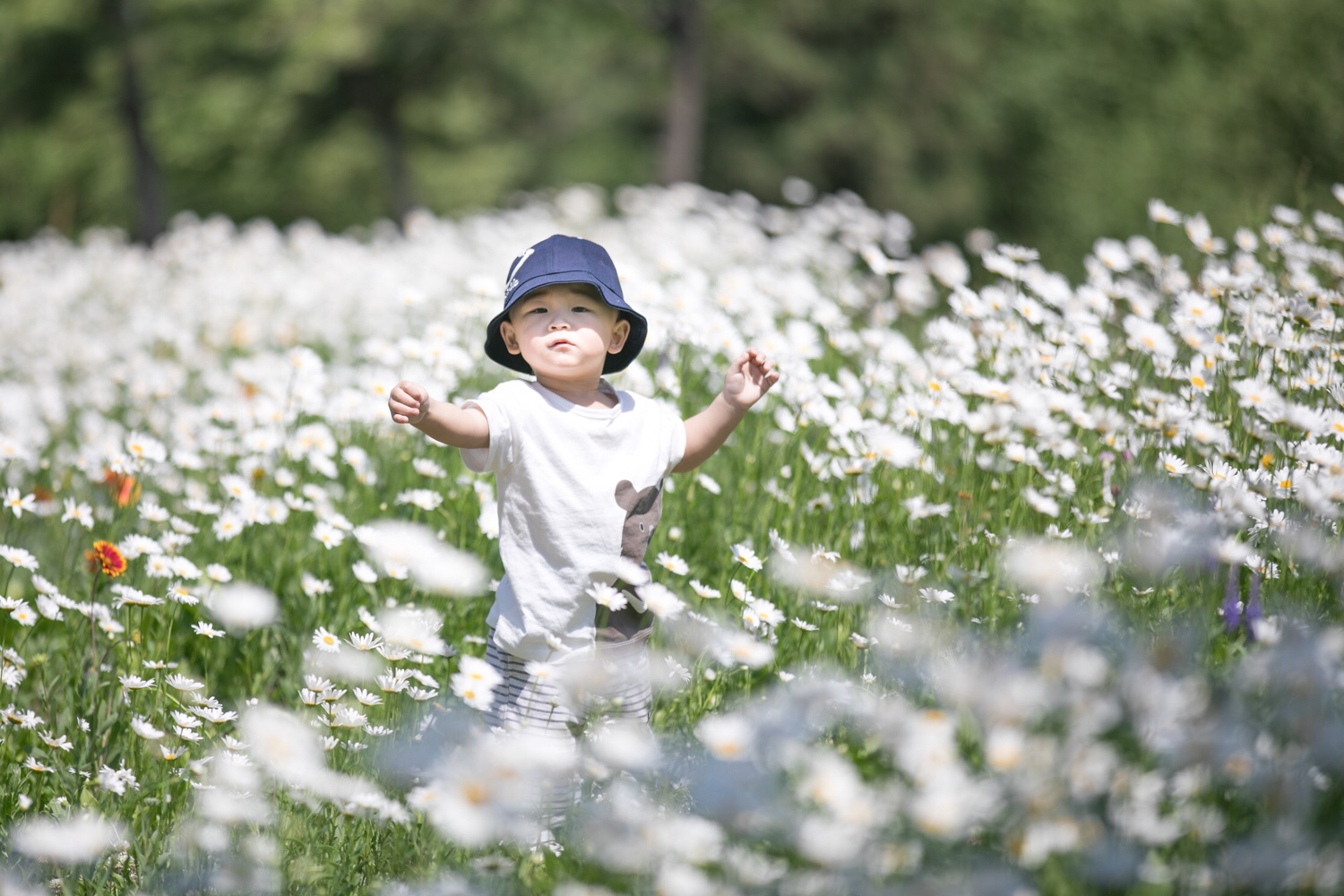 [九小仙]生命因你而不一样-连载封面