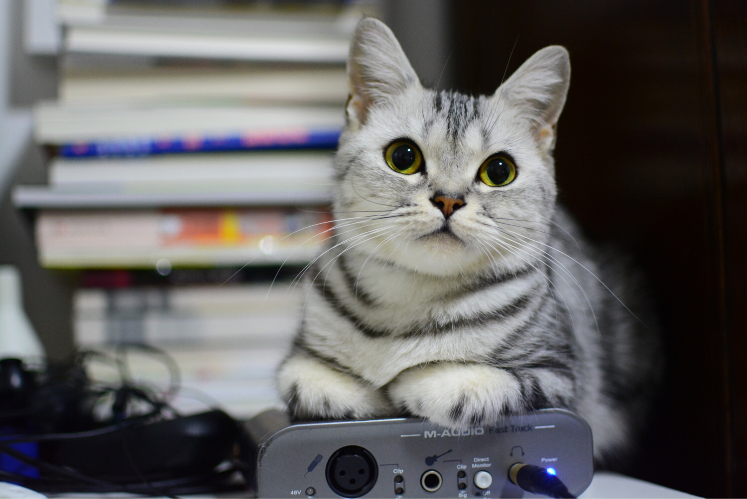 [sanhua]你们一天一天地长大-连载封面