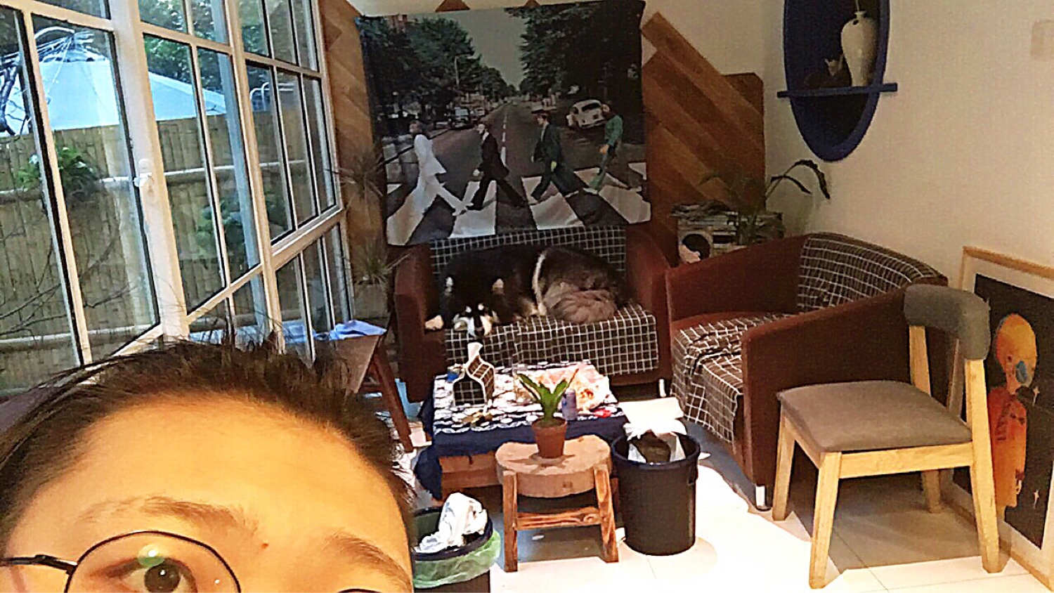 [hey绿豆小]hey 我是钢镚儿！-连载封面