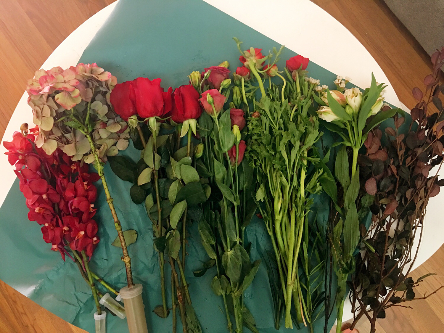 [陈夜心]晨光物语-连载封面