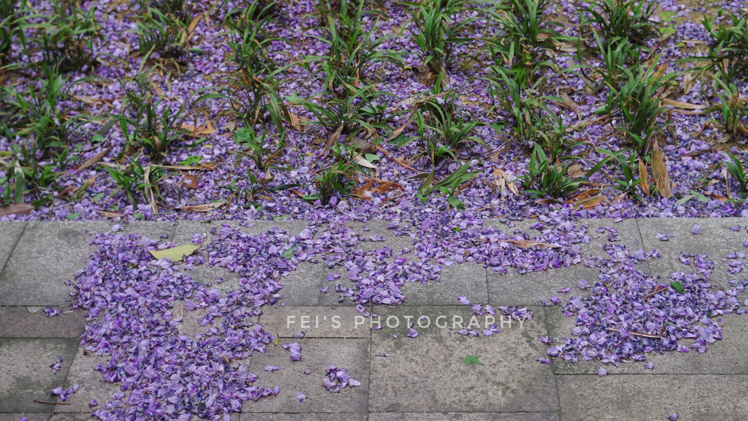 [非]小时光-连载封面