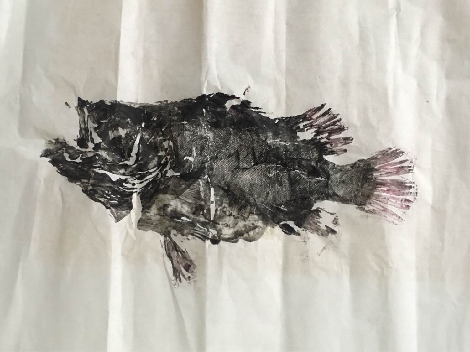 [胡大大]我都不知道我会做这个！-连载封面