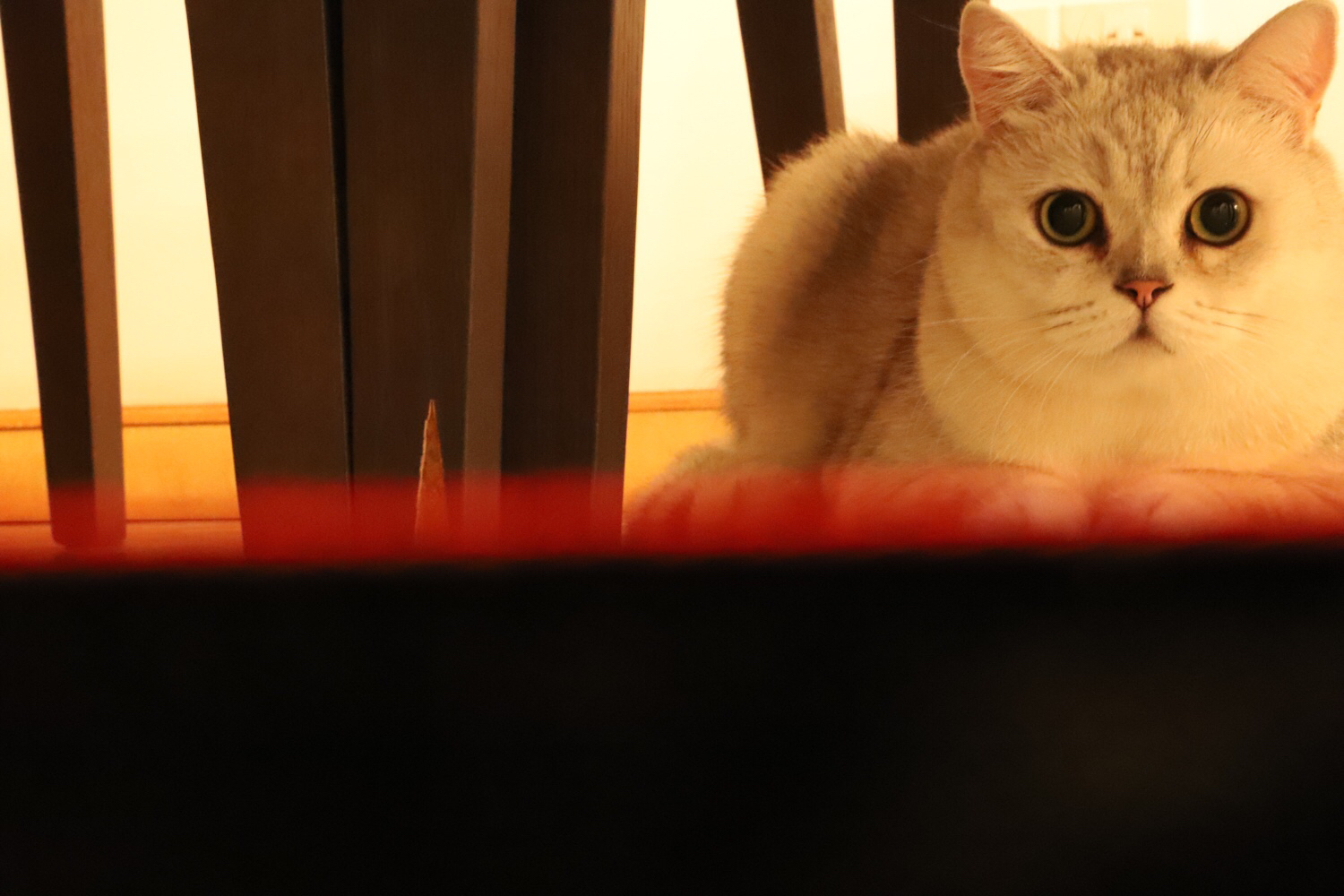 [傲雪幽狼]这里是三次元的Mino-连载封面