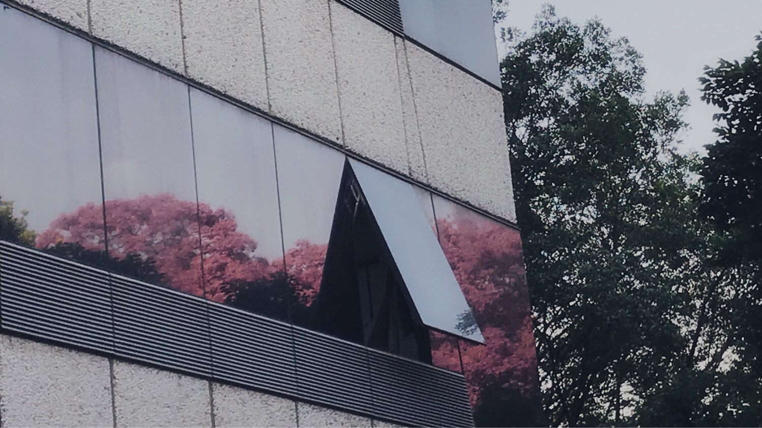 [锦色]偶尔修张片-连载封面