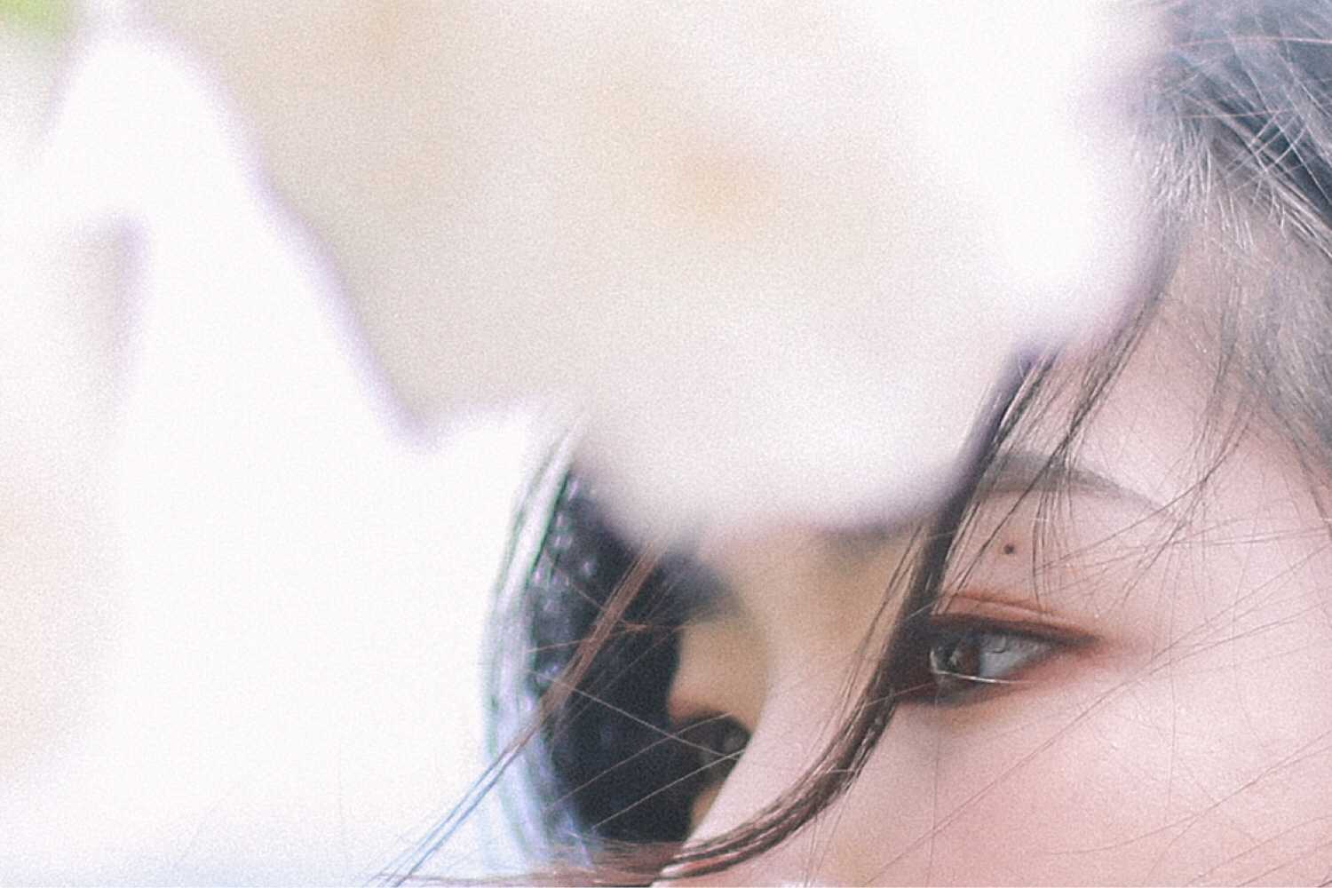 [LeilaWJ]岁月墨尔本-连载封面