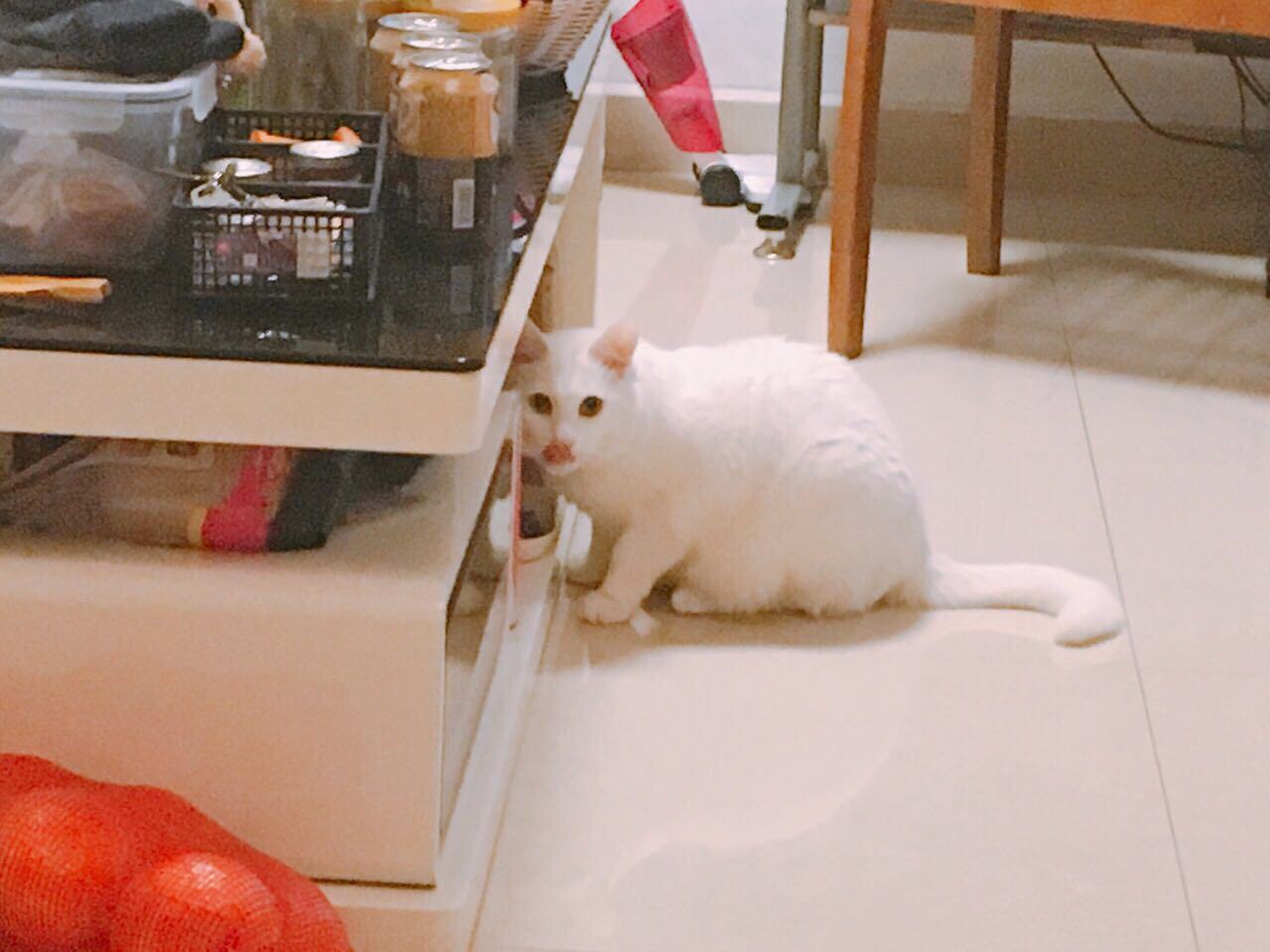 [椰子已笑炸]啤酒日记-连载封面