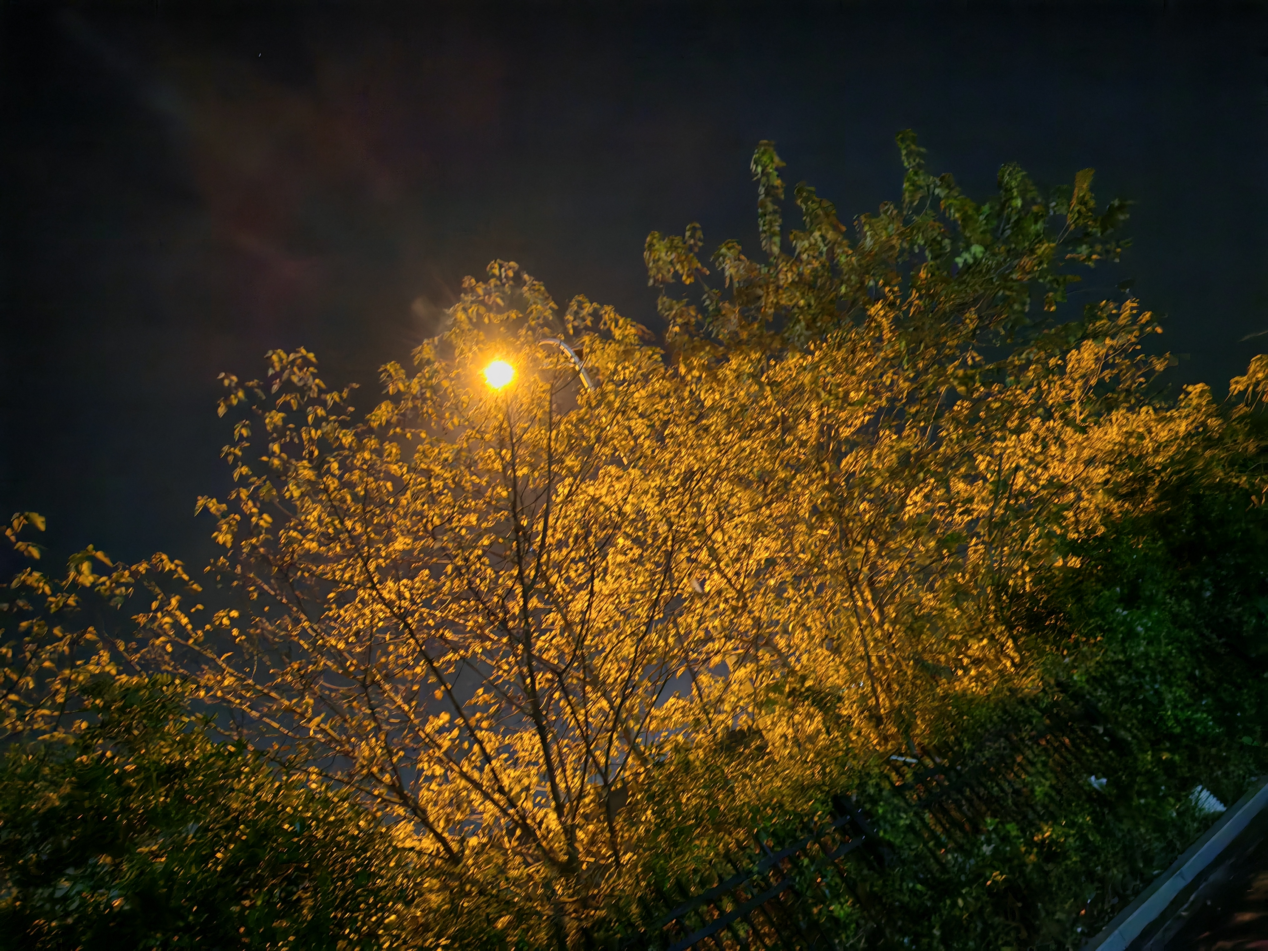 [薙顺]我放屁-连载封面