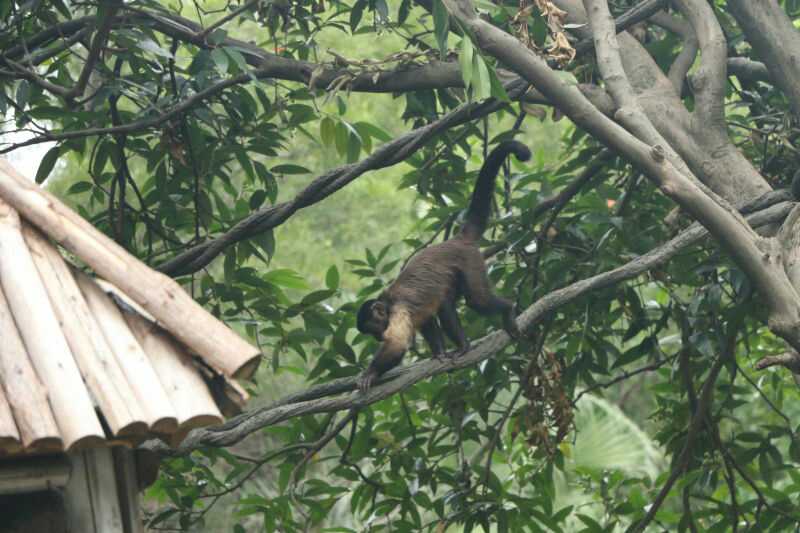 [放空。]摄影小白的伟大摄影梦-连载封面