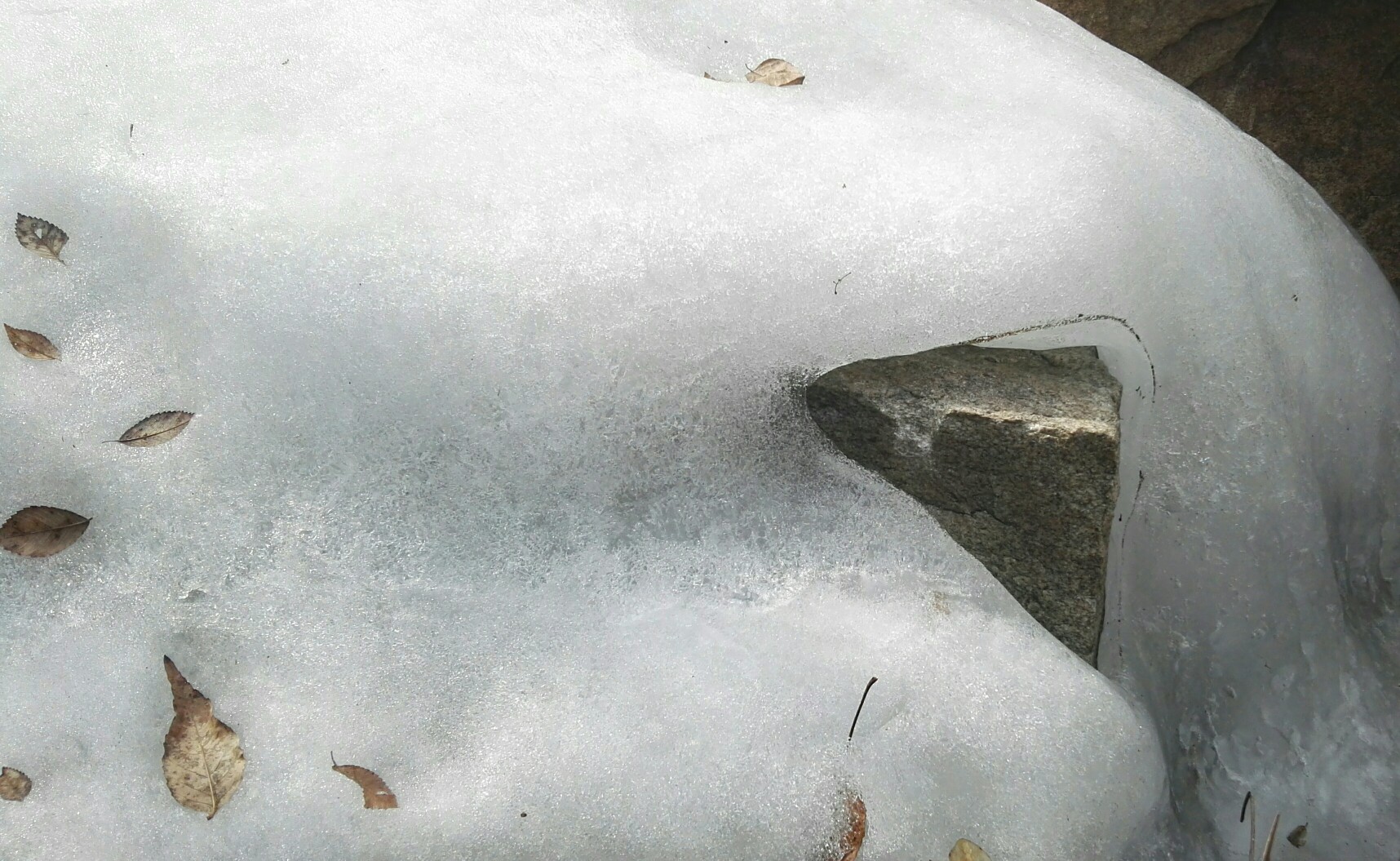 [法]关于2016年-连载封面