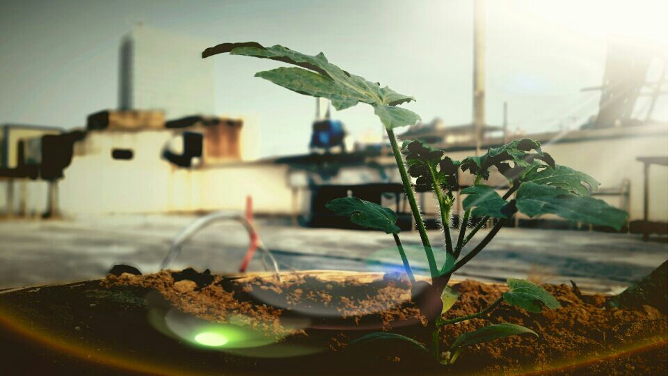 [作妖大使孙废物]《我们》//肖和-连载封面