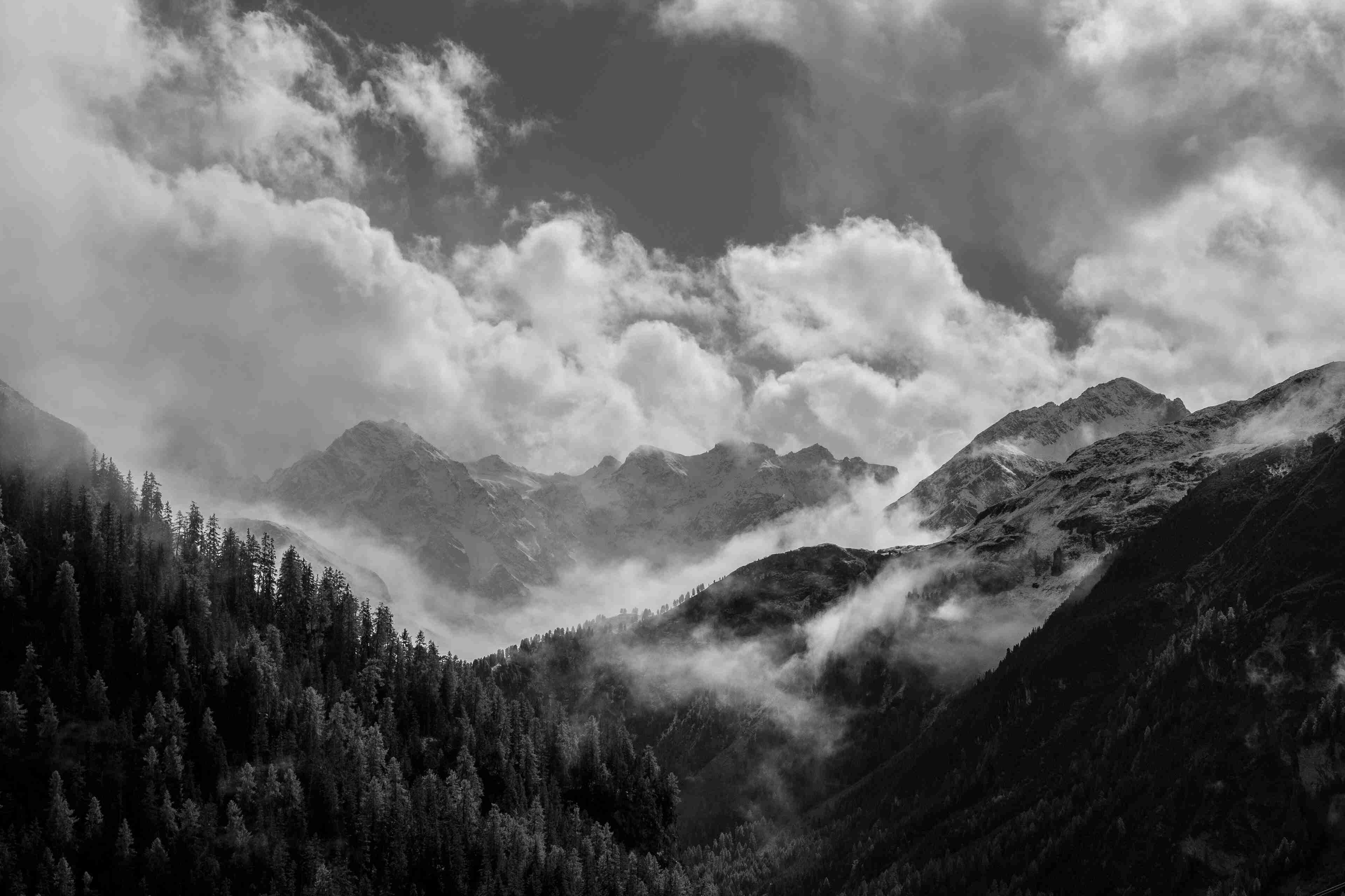 [shuting]黑白图集-连载封面